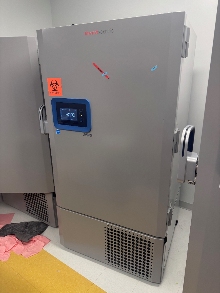Image of Thermo TSX -80C Ultra Low Temp Freezer